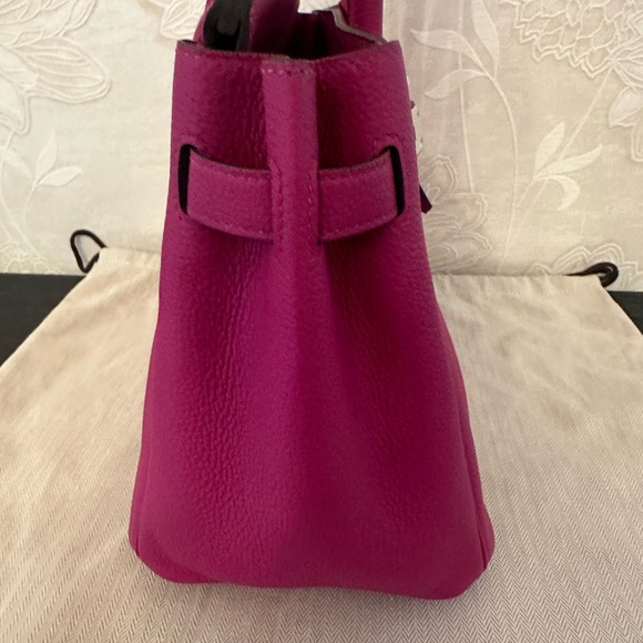 Hermes Birkin 30CM Magnolia Togo Leather with Palladium Hardware - Picture 9 of 16